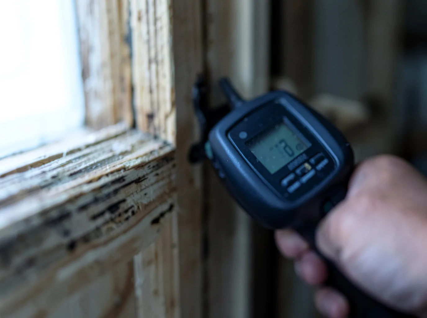 Moisture Inspection And Documentation in Derby, VT